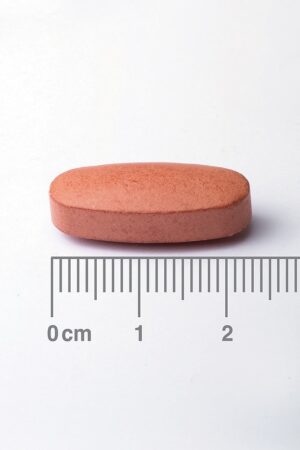 lamberts calcium pantothenate 500mg tablet